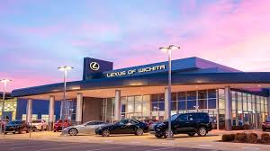 These are covered in large spines though. Plural Form Of Cactus In French Mutabikh