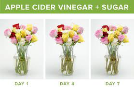 Forget about the old diy solutions like pennies. How To Make Flowers Last Longer 9 Tricks Proflowers