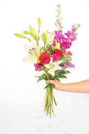 We did not find results for: Buy Greenchoice Flowers Spring Bouquet Fresh Cut Flowers Flower Bouquet Fresh Flowers For Delivery Birthday Flowers Online In Italy B091jx5x9t