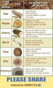 This Is Great For Woodburning Information Wood Burning Patterns Wood Burning Art Learn Woodworking