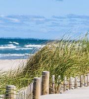 Want a quick list of pet friendly hotels? The Best Cape Cod Pet Friendly Vacation Rentals Tripadvisor Book Pet Friendly Vacation Rentals In Cape Cod
