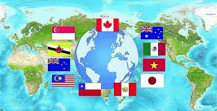 Australia, brunei, canada, chile, japan, malaysia, mexico, new zealand. The Piece Of Cake Of The Cptpp Market Is Very Large Cong Ty Tnhh Dá»‹ch Vá»¥ Hang Háº£i Vina Vinamas