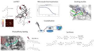 Everything you need, including control, standards, buffers, and substrate, is included. Dengue Virus Protease Institut Fur Pharmazeutische Und Biomedizinische Wissenschaften Ipbw