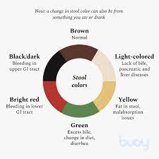 Stool Colors What Poop Colors Mean When To Worry Buoy