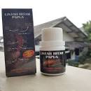 Hasil gambar untuk harga minyak lintah hitam papua original