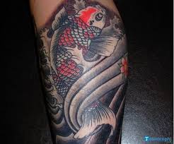 10 hình xăm cá chép hóa rồng giá bao nhiêu tiền. Hinh XÄƒm Ca Chep Ä'áº¹p Nháº¥t 3d XÄƒm Tren Ngá»±c Tay Chan LÆ°ng