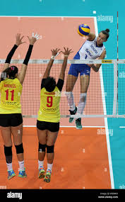 Gabriela braga guimaraes hi-res stock photography and images - Alamy