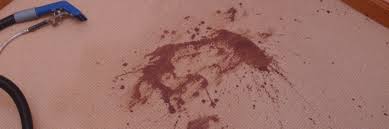 We did not find results for: Spill Spot Removal Chart
