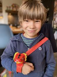 Kid's Book Review: The Armadillo Who Came For Dinner