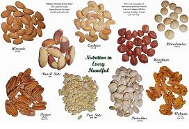 Hazelnuts For Sale Excellent Quality Agro Markit Inc
