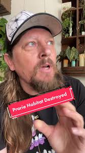 The Native Habitat Project Drama