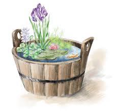Foglie, agrifoglio, ilex, vischio felci etc. Un Mastello Di Piante Acquatiche Come Realizzarlo Cose Di Casa