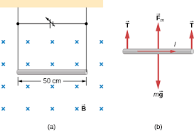 So, how do you get the magnitude of a particular field from this? 11 5 Magnetic Force On A Current Carrying Conductor Physics Libretexts