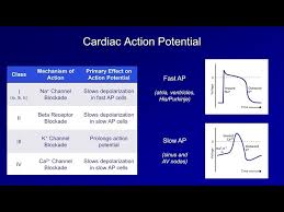 Image result for Antiarrhythmic