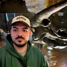 Why labramon is not that popular compared to patamon right now?