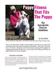 When your puppy is very young, veterinarians recommend keeping exercise limited to short walks and multiple play sessions throughout the day. Pc Exercise Booklet And Chart By Madcap Productions Issuu