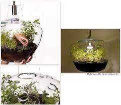 Mini Greenhouse As A Hanging Light Amazing Mini Greenhouse Diy Greenhouse Hanging Lights