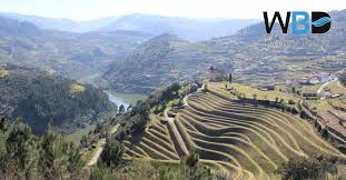 A municipality of rio de janeiro, brazil. One Of The Most Beautiful Regions Of The Douro Resende Cherry Land