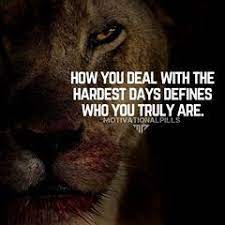 Motivation Quotes Success Motivationalpills Instagram Photos And Videos Motivational Quotes For Success Motivation Motivational Quotes