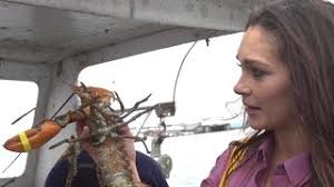 Miss Maine USA Heather Elwell Knows Her Lobster! [VIDEO]