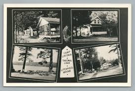 Image result for Lintonia