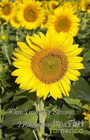 When I Count My Blessings I Count You Twice Meaning I Count You Twice Friendship Card By Lee Craig A Beautifully Bright Sunflower Capture With A Sweet Quote V Digital Artwork Friendship Cards Fine Art America