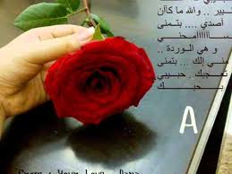 We did not find results for: Ø¢Ø³Ù€Ù€ÙÙ‡ Ø­Ø¨Ù€Ù€Ù€Ù€ÙŠØ¨ÙŠ A Youtube