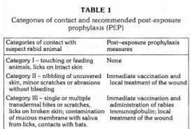 Maybe you would like to learn more about one of these? At What Age Should The Anti Rabies Vaccine Be Given To People Quora