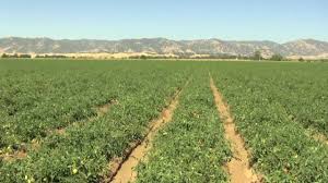Sunukpahari park / sunukpahari eco park bankura. Voices From The Fields Bruce Rominger Discusses Fertilizer And Tomatoes Youtube