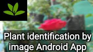 When you take a walk during sunny days, have you ever come across a beautiful flower you would know. Planet Plant Identification By Image Android App Youtube