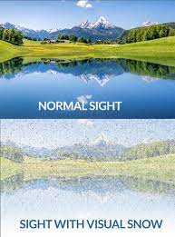 These symptoms include palinopsia (seeing afterimages), entoptic i'm aware of a few potential treatment protocols being researched that seem promising. Visual Snow Initiative Collaborate Educate And Cure