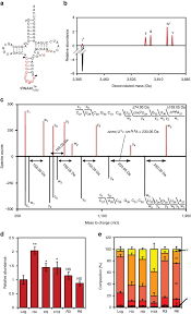 Recessed lighting fixtures kitsune udon translation biology. Trna Mediated Codon Biased Translation In Mycobacterial Hypoxic Persistence Nature Communications