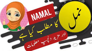 Namal Name Meaning In Urdu And Lucky Number Islamic Girl Name Ali Bhai In 2020 Names With Meaning Girl Names With Meaning Arabic Names Girls