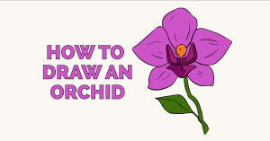 Maybe you would like to learn more about one of these? How To Draw Flowers And Trees Easy Drawing Guides