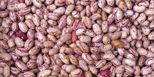 Die 41 Besten Pflanzlichen Eiweissquellen Mit Rezeptvorschlagen Eiweissquellen Eiweisshaltige Lebensmittel Eiweissreiche Rezepte