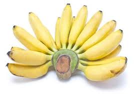 Pisang cavendish adalah salah satu dari jenis buah hortikultura, secara sekilas pisang ini mempunyai kemiripan dengan pisang lokal yang ada di indonesia yakni pisang ambon, rasanya yang manis sedikit asam, daging buahnya. Pisang Cavendish Vs Barangan