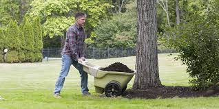 Canton| north canton| louisville |hartville |massillon |uniontown |green Tips For Starting Your Garden In Northeast Ohio The Simplay3 Company