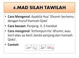 Posted in tajwidtagged 10 contoh mad silah qasirah dan mad silah tawilah, 15 contoh mad shilah qashirah, 5 contoh mad badal, apa yang dimaksud. Hukum Mad Kelas Tahfiz Mengaji Al Quran Online Gombak Facebook