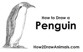How To Draw A Penguin When i gave my teacher one of your drawings, all my friends saw them they were saying thats so cute and how did you draw that! how to draw a penguin