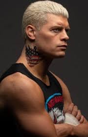 Falling all in you ~ Cody Rhodes