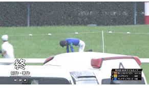 第26回nhkマイルカップ・g1 2021年5月9日 東京11r芝1600m 第26回nhkマイルカップ・g1 想定馬場・想定トラックバイアス 予想評価順位･推定勝率 全馬解説 逃げ馬候補 前走不利馬 勝負レースの推奨馬はnoteで公開! E 7quiuir77gcm