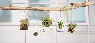 We did not find results for: How To Make A Hanging Garden