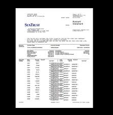 Bank Statement Suntrust Template Earnings Template Fake Custom Printable Income Monthly Verific Statement Template Bank Statement Credit Card Statement