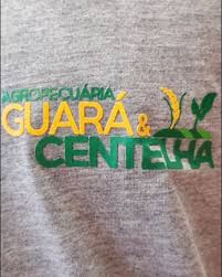 Aproveite o verão para renovar o visual da sua equipe!! 👕, Camisetas  masculinas a pedido da Agropecuária Guará&Centelha , Estilo, qualidade e  conforto em todas as estações com BORMAG 🤍, ...