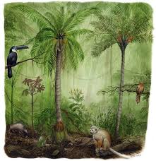 Florence Dellerie Illustratrice Naturaliste Portfolio Paysages Jungle Art Forest Art Palm Trees Painting