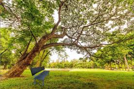 Die kunststoffbank macht sich ebenso gut als gartenbank oder parkbank Sitzgruppe Outdoor Aus Kunststoff Stahl Luxtek Gmbh
