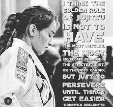 Pin On Bjj