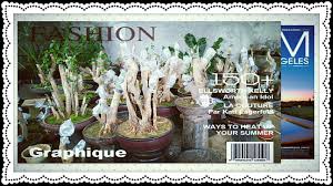 Nama Latin Tanaman Bahan Bonsai
