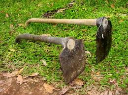 Pengaruh perkembangan pendidikan kebangsaan di indonesia. 15 Alat Pertanian Tradisional Modern Beserta Fungsinya Salamadian