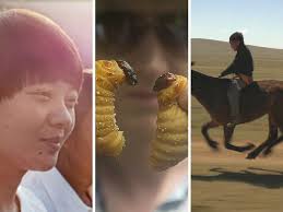 Docs Against Gravity #1